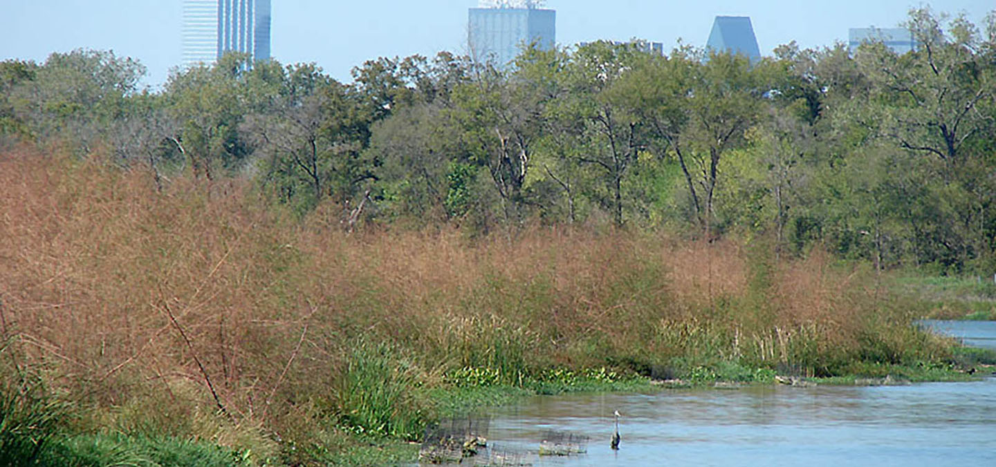 Dallas Floodway Extension