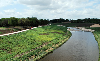 To support the native fish and wildlife the Mission Reach Project will establish 334 acres of riparian woodland and eight acres of bottomland hardwood along with the planting of 20,000 trees and native vegetation along the San Antonio River. To support the native fish and wildlife the Mission Reach Project will establish 334 acres of riparian woodland and eight acres of bottomland hardwood along with the planting of 20,000 trees and native vegetation along the San Antonio River.