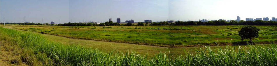 Pavaho Wetlands - P4 Eastern constructed wetland cell location, looking northeast