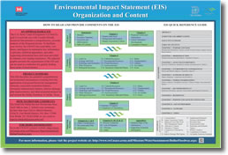 Environmental Impact Statement (EIS) Organization and Content