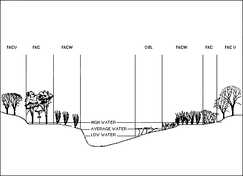 Water Regime