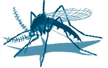 mosquito graphic