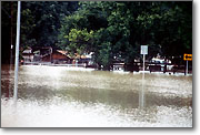 June 1989: Homes in Rochester Park